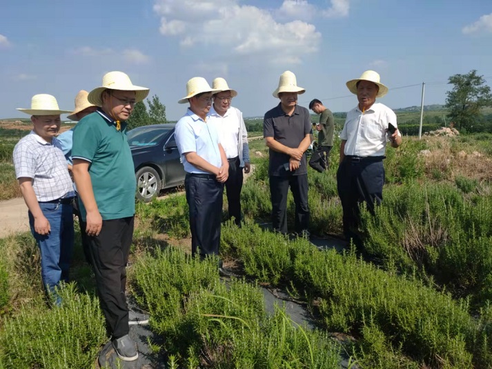 许昌市农业农村局扎实推进对口帮扶淅川县工作